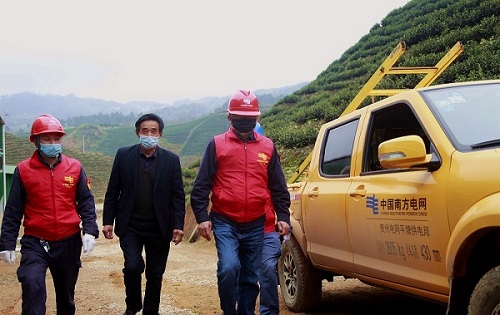 平塘供電局：“加減法”同構(gòu)服務(wù)，護(hù)航“貴州春茶第一壺”