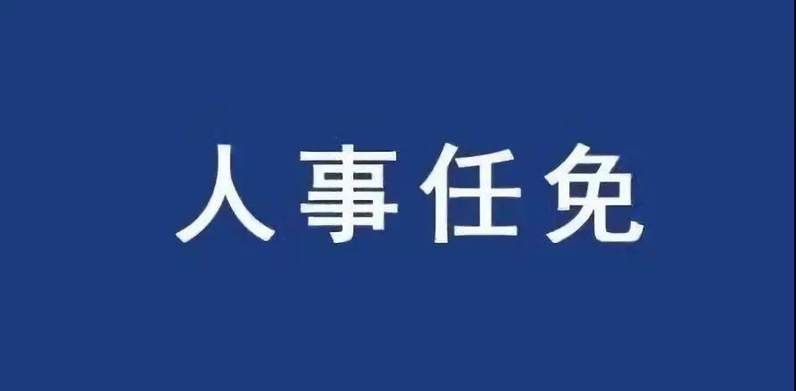 重磅！張智剛?cè)螄?guó)家電網(wǎng)總經(jīng)理、黨組副書記，韓君出任三峽集團(tuán)總經(jīng)理