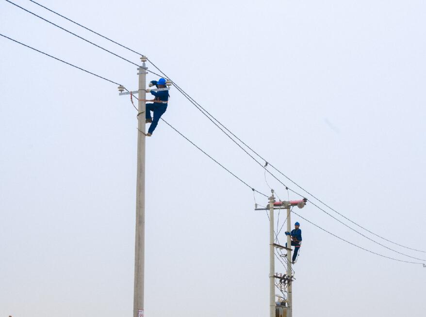 阿拉善供電公司：電網(wǎng)健康“體檢”，從登桿開始