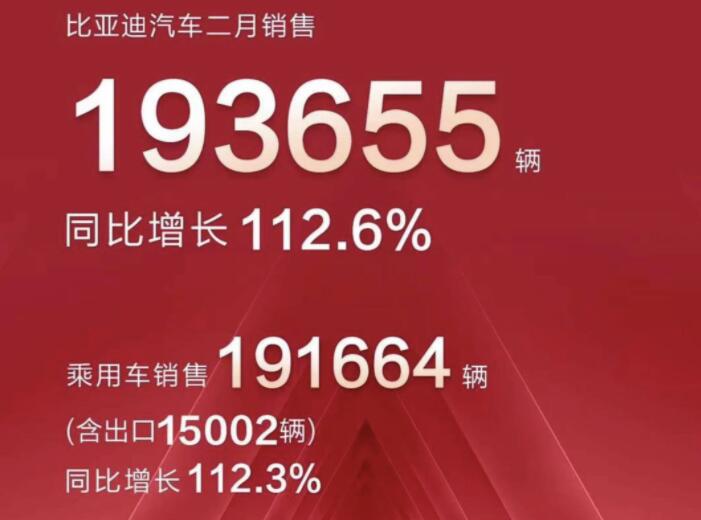 2月新能源車企成績單出爐，比亞迪一騎絕塵