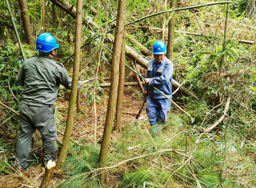 南方電網(wǎng)荔波供電局線路憂患如“猛獸”，通道清通要爭先
