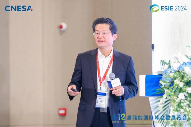 林澤波：儲能企業(yè)出海不是價格競爭，而是以定制優(yōu)質(zhì)產(chǎn)品和服務(wù)實現(xiàn)可持續(xù)發(fā)展