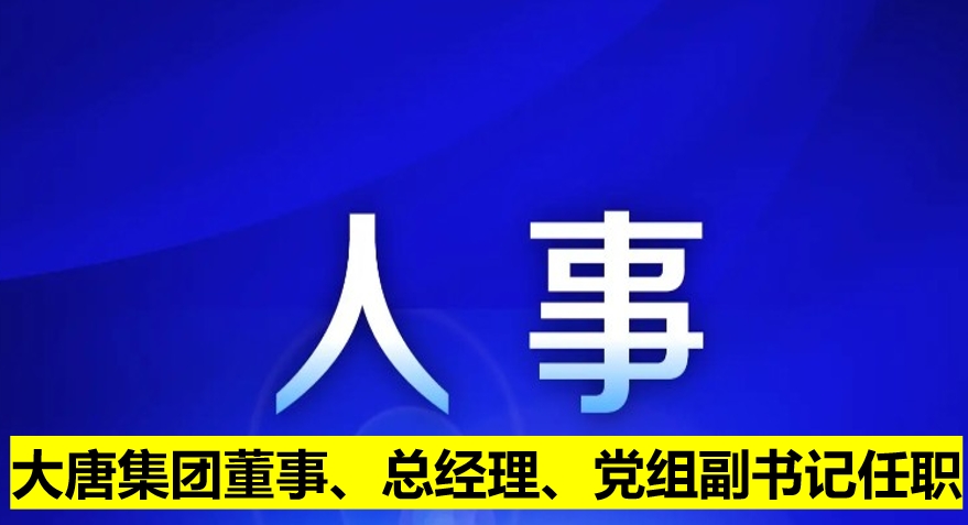 大唐集團(tuán)董事、總經(jīng)理、黨組副書記任職