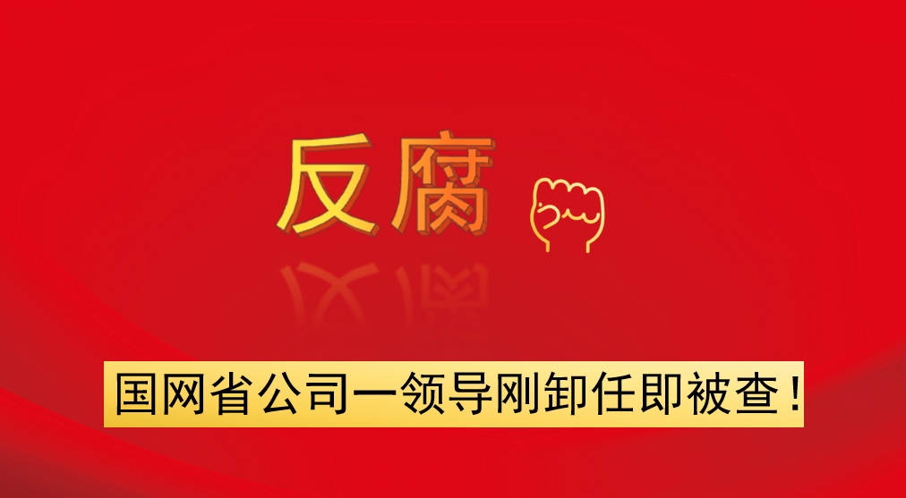 國網(wǎng)省公司一領(lǐng)導(dǎo)剛卸任即被查！